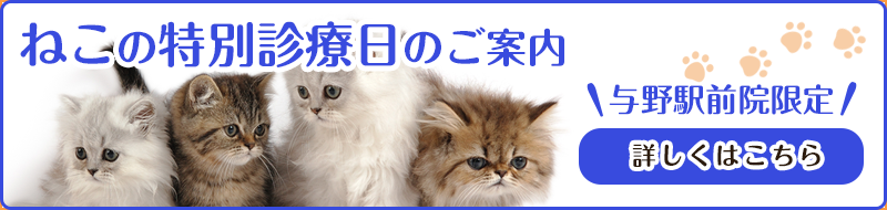 与野の動物病院なら、そよかぜ動物病院