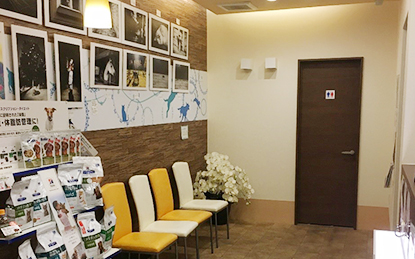 与野・そよかぜ動物病院