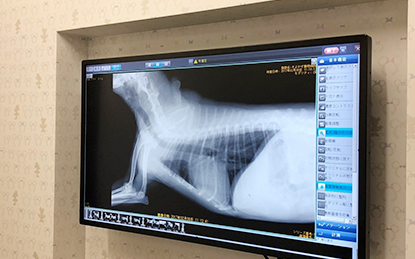 与野・そよかぜ動物病院