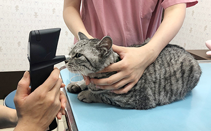 与野・そよかぜ動物病院